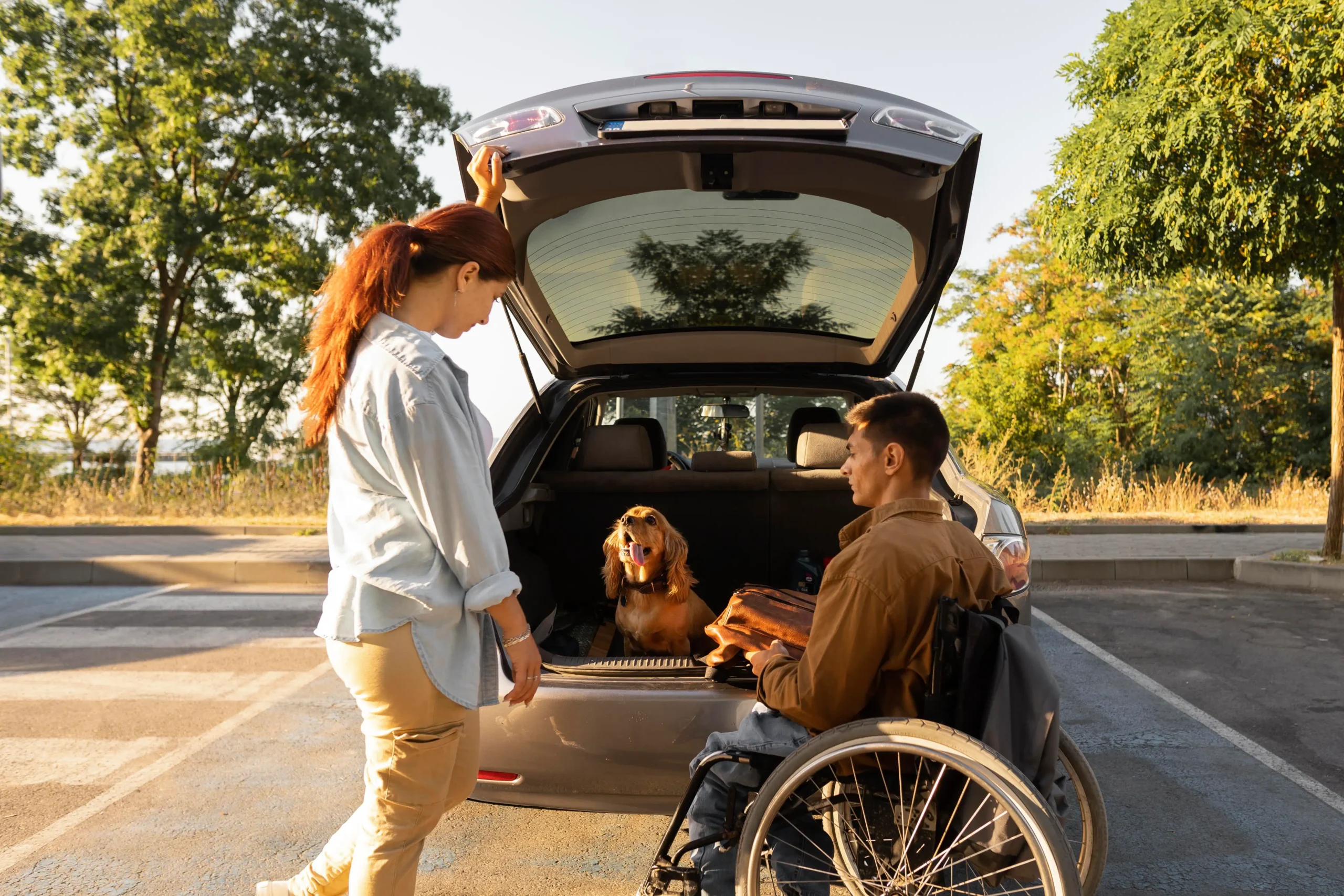 houston wheelchair ground transportation